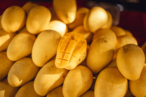 Totapuri Mango Crop Report May 2026