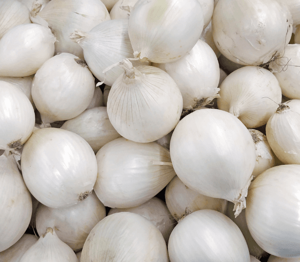 garlic