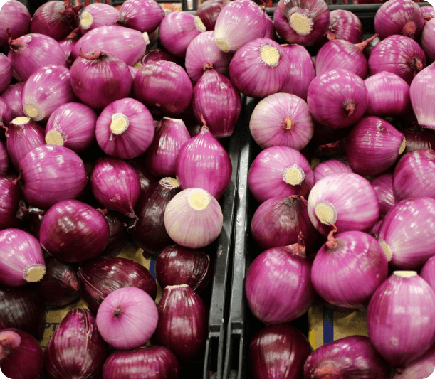 onion