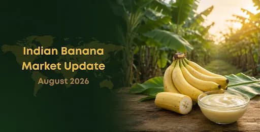 Indian Banana Market Update August 2026