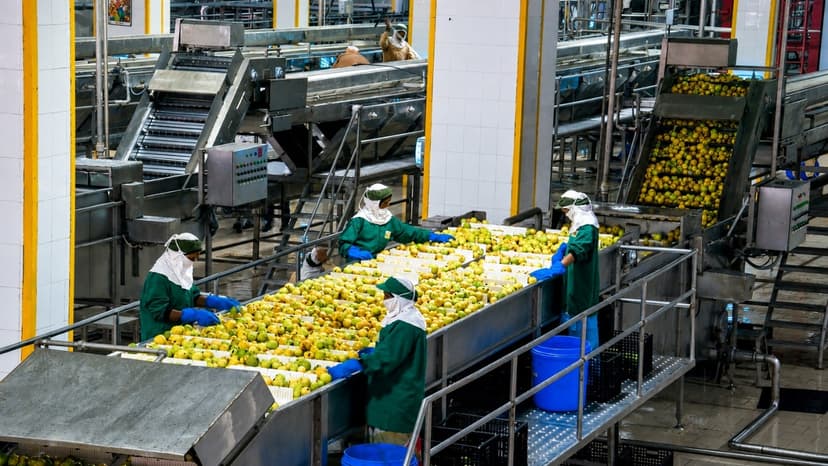 India frozen fruits and vegetables processing opportunity